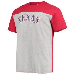 Fanatics Branded Men's Red/Heathered Gray Texas Rangers Big & Tall Colorblock T-Shirt -Minnesota Twins Shop DSCO1136771655 2910 ALT2