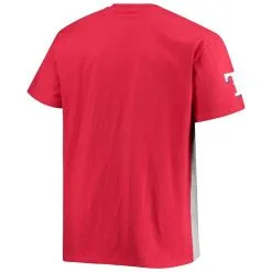 Fanatics Branded Men's Red/Heathered Gray Texas Rangers Big & Tall Colorblock T-Shirt -Minnesota Twins Shop DSCO1136771655 2910 ALT3