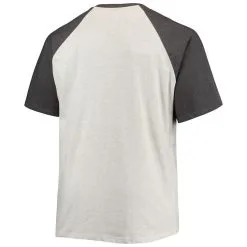 Profile Men's Oatmeal/Heathered Charcoal Minnesota Twins Big & Tall Raglan T-Shirt -Minnesota Twins Shop DSCO1136793482 I5PN ALT3