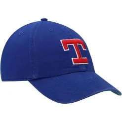 '47 Men's Royal Texas Rangers Cooperstown Collection Franchise Logo Fitted Hat -Minnesota Twins Shop DSCO1148317670 1350 ALT3